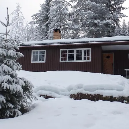 Steinsjoveien Hurdal