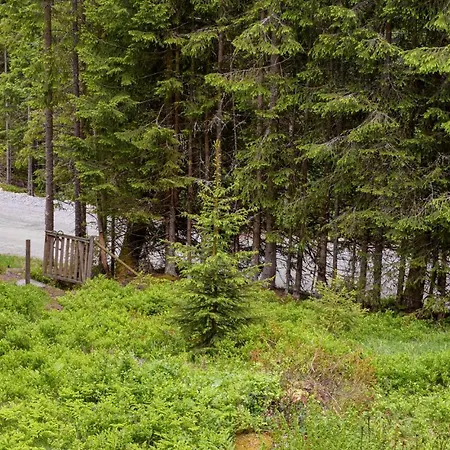 Steinsjoveien * Hurdal