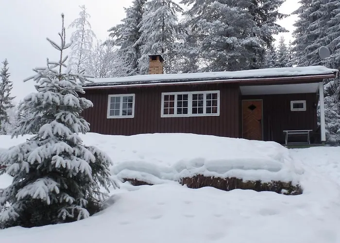 Steinsjoveien Hurdal